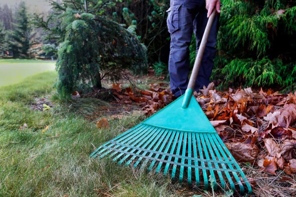 Weekend side hustle: raking leaves in a front garden – quick way to make extra money this weekend.